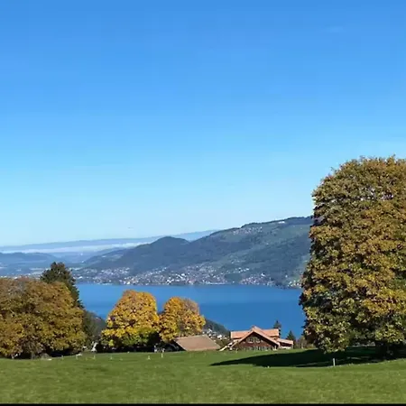 Unterkunft Mit Alpen Blick Apartment Aeschi Bei Spiez