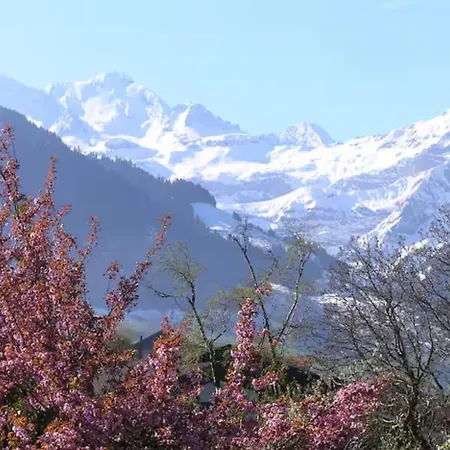 Unterkunft Mit Alpen Blick Apartment Aeschi Bei Spiez