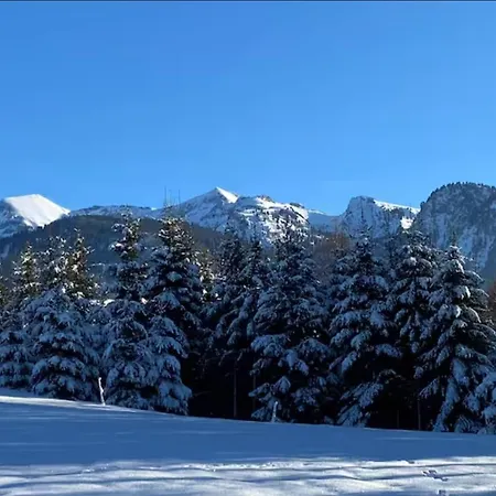 Unterkunft Mit Alpen Blick *